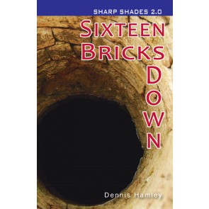 Sixteen Bricks Down  (Sharper Shades)